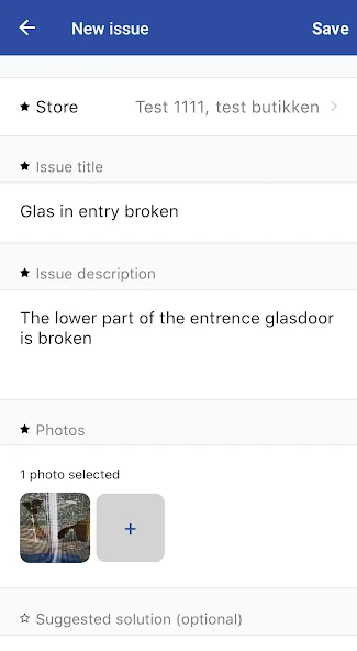 Instore Excellence issue form screen